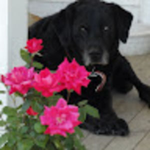 Meet your Posher, Ewa